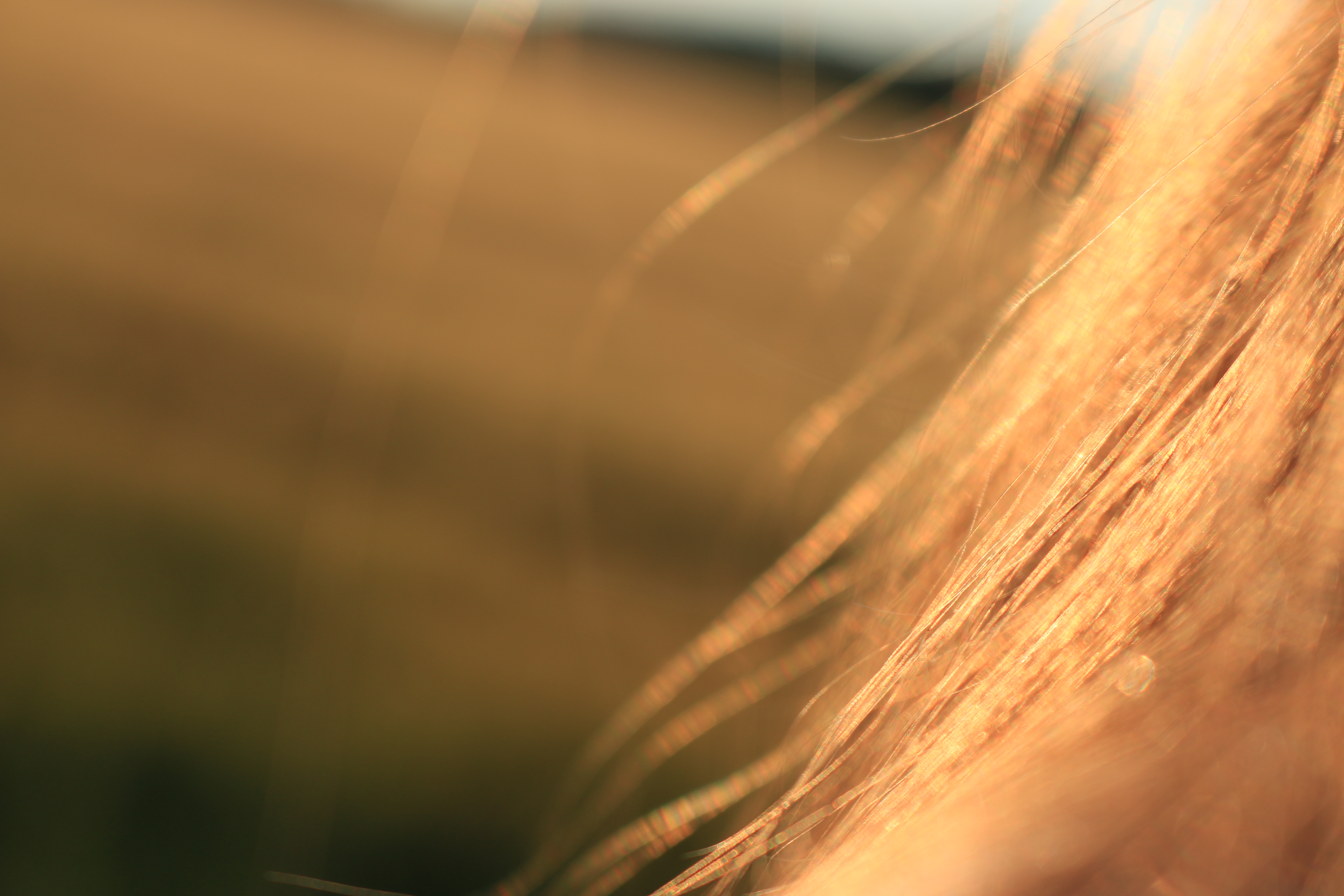 blonde hair