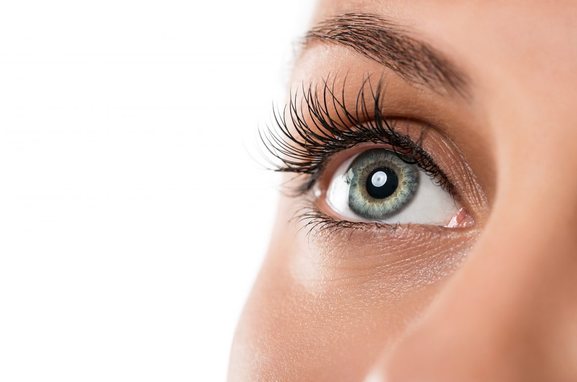 ;ash lift eye lashes